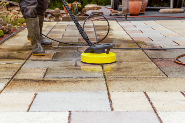 Animal Enclosure Cleaning in Berry Creek, CA